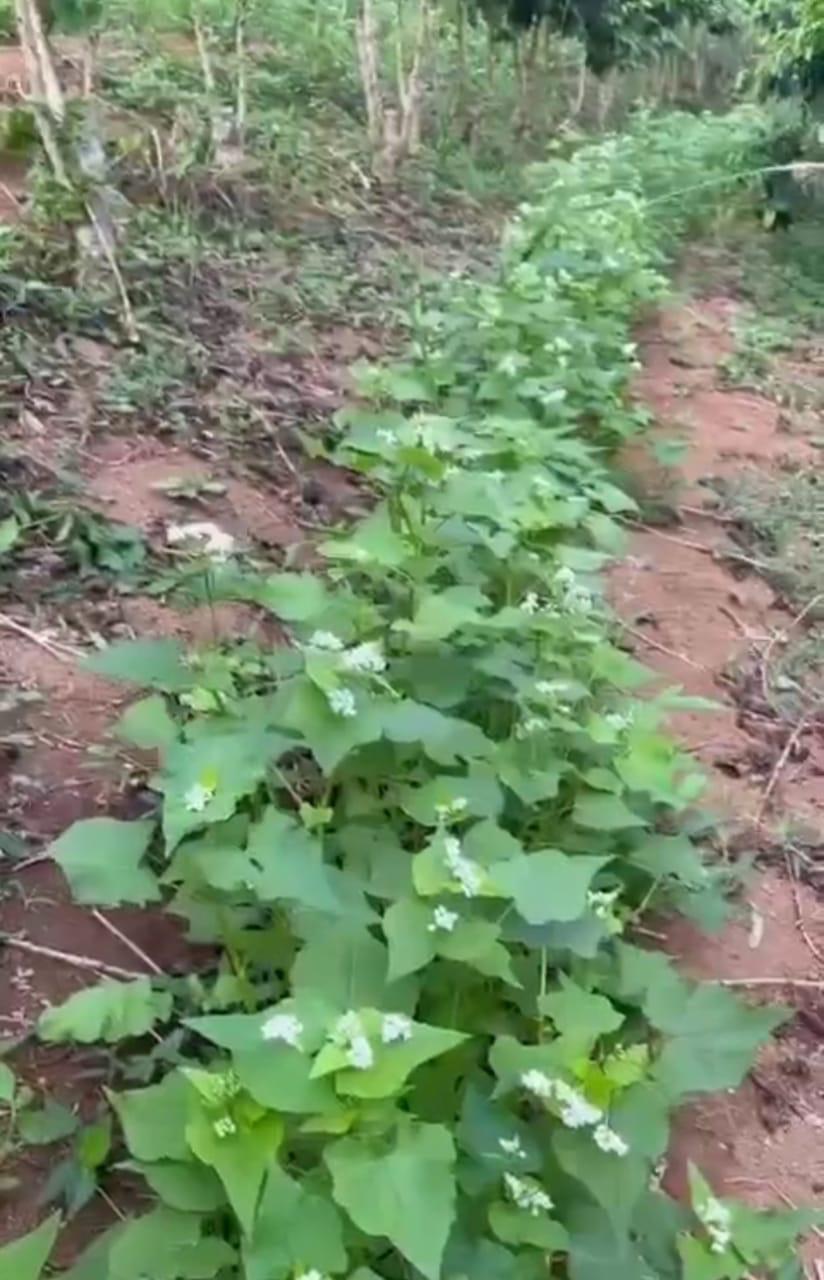 Warehouse Facilities